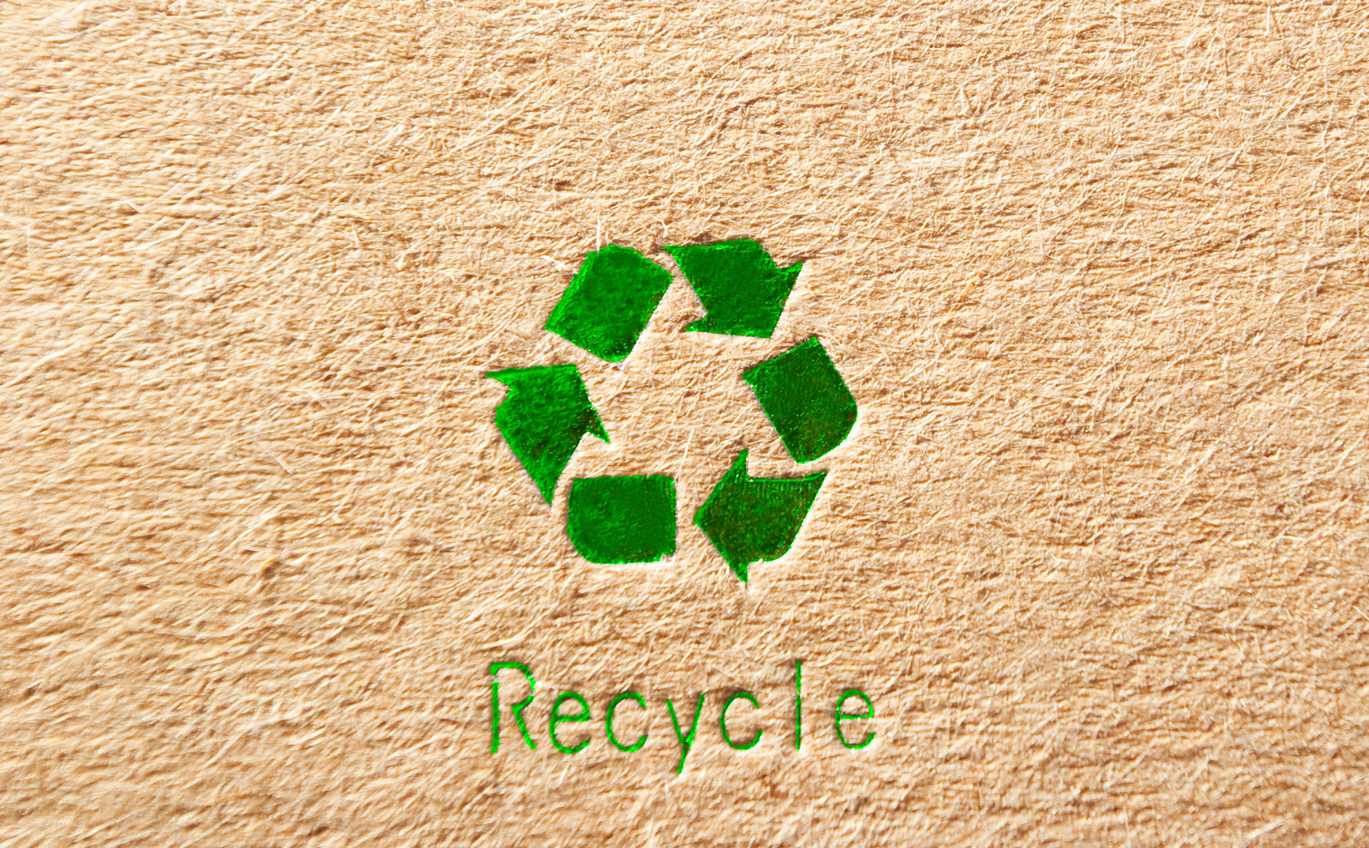 Ökologie und Nachhaltigkeit